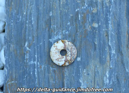 Donuts jaspe léopard