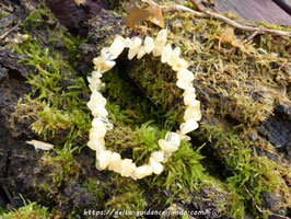 Bracelet Baroque Citrine