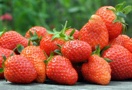 Erdbeeren 250g/ES