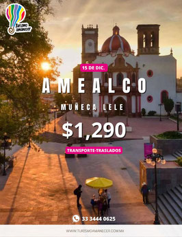 AMEALCO DICIEMBRE