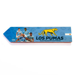 Argentina selección UAR Rugby