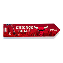 Chicago Bulls