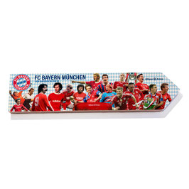 Munchen, Bayern Munchen, Allianz Arena (varios diseños)