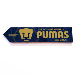 Pumas de la UNAM, Ciudad de México