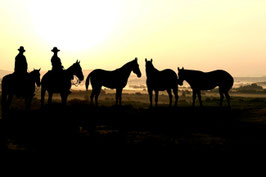 Cowboy Cookout and Trail Ride