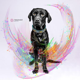 Fotoeffekt Particle-Waves