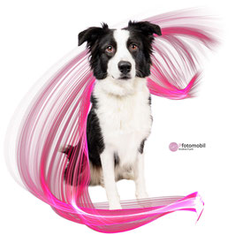 Fotoeffekt    Be My Valentine