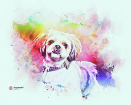 Digital Painting