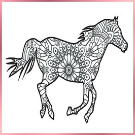 Pferd im Galopp - Bewegung in klarer Form