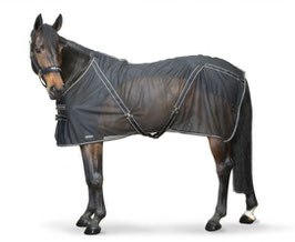【E】BACK ON TRACK - Sienna - Sheet(black)