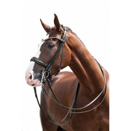【H】Double bridle -Kate- (black)14840