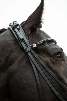 【H】Double bridle -Grace-(black)14841