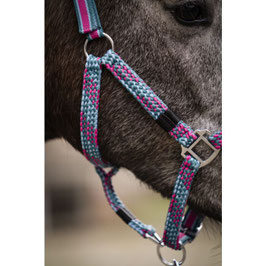【H】Head collar -Manchester-(magenta/petrol)15687