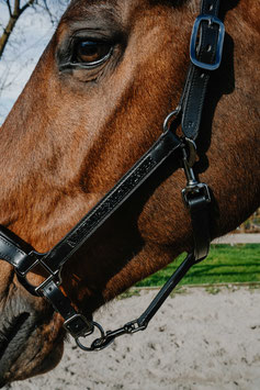 【E】NORTON anatomical leather halter - EK-Crystal (Black)