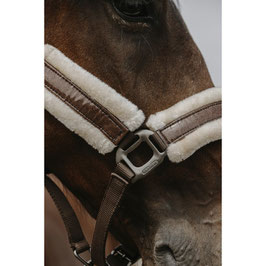 【E】EQUITHÈME - Fashion - Nylon headcollar