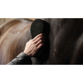 ST【E】LAMI-CELL Sponge - Shine Scrubber(black)(1個)700211002
