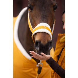 【H】Head collar -Arezzo-　 15388