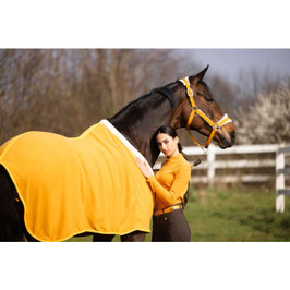 【H】Cooler -Arezzo-(mustard)15495