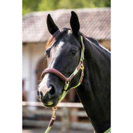 【H】 Head collar -Edinburgh- （pistachio/Cob）13918