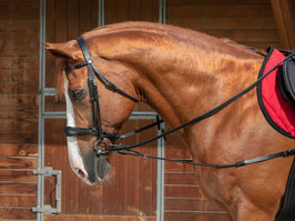 【E】NORTON PRO Short elastic side Reins with pulleys (Full)