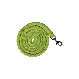 【H】Lead rope -GlowLine- with snap hook (180 cm)