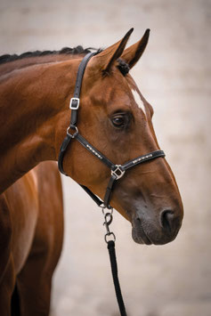 【H】Leather head collar -Sparkle- (balck) 15677*