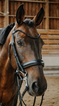 【E】NORTON Double Bridle - Onyx (Black/Full)303007302