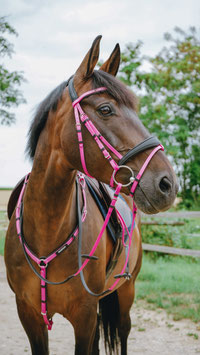 【E】NORTON Endurance Bridle - Pop