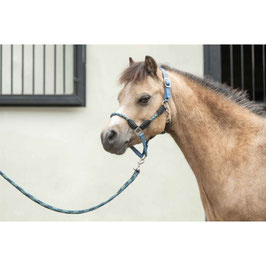 【H】Head collar -Nele-15087