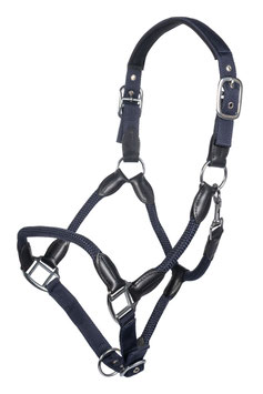 【H】Head collar -Carlotta-　 14521★