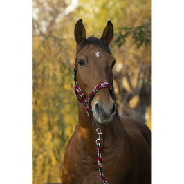 【E】EQUITHÈME "TRESSÉ” HEADCOLLAR + LEAD ROPE