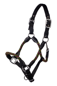 【H】Head collar -NeonFlash-(black)15863