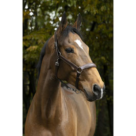 【E】NORTON PRO anatomical head collar