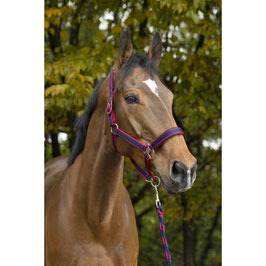 【E】EQUITHÈME "SATINÉ” HEADCOLLAR + LEAD ROPE