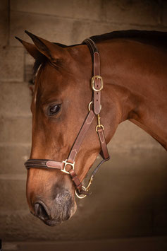 【E】Leather Halter with 3 Snap Hooks – PADDOCK　(Havana)