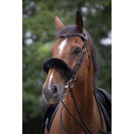 【E】EQUITHÈME - Teddy - Noseband Sleeve(Full)