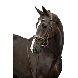 ST【H】Bridle -Sofia-(brown/rose-gold/Full)13992