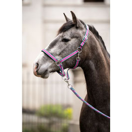【H】Head collar set with snap hook -Manchester-（magenta）