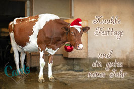 Weihnachts-Kuh Trulla