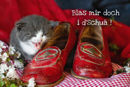 Katze mit roten Schuhen