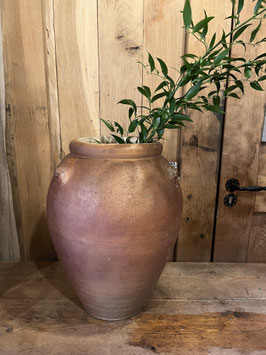 Terracotta pot