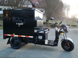 TT E-CARGO TRIKE mit Kasten