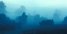 Nebelstimmung in der Lüneburger Heide, Panoramakarte