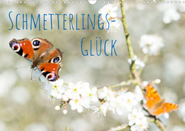 Schmetterlings-Glück (2025)