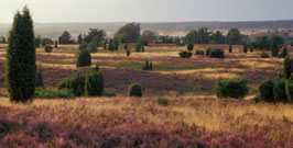 Lüneburger Heide, Panoramakarte