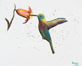 Aquarellmalerei "Kolibri an einer Blüte"