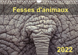 Fesses d'animaux (2022)