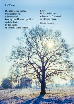 Textkarte "Im Winter"