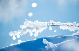 Winterzauber, Briefkarte