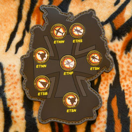 Patch Demo Teams Deutschland